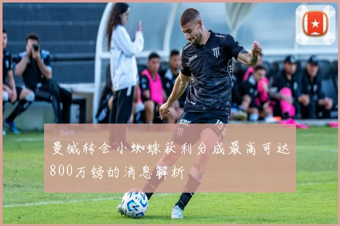曼城转会小蜘蛛获利分成最高可达800万镑的消息解析