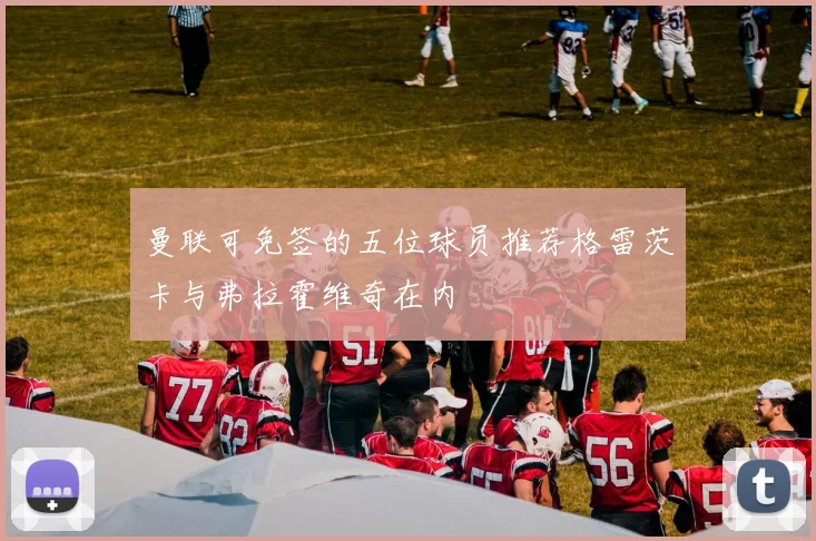 曼联可免签的五位球员推荐格雷茨卡与弗拉霍维奇在内